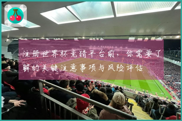 注册世界杯竞猜平台前，你需要了解的关键注意事项与风险评估